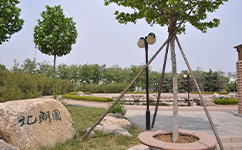 南開(kāi)大學(xué)濱海學(xué)院 - 我的大學(xué)