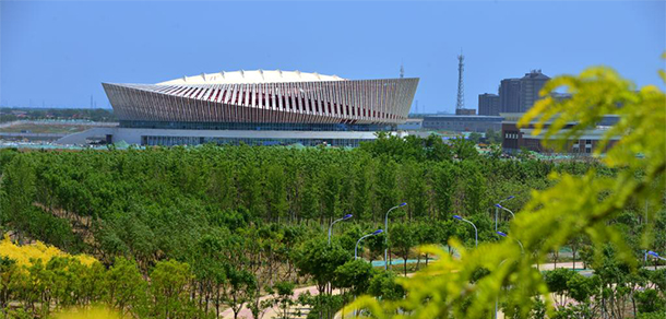 我的大學(xué)-大學(xué)志