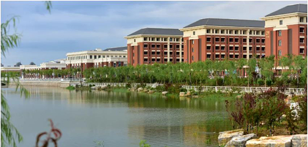 我的大學(xué)-大學(xué)志