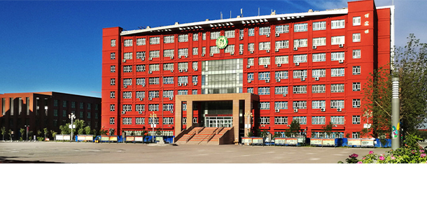我的大學-大學志
