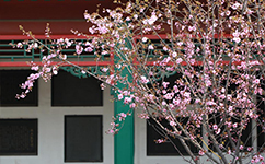 文化標(biāo)識(shí)：校名題寫 / ?；赵O(shè)計(jì)