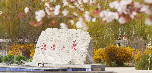 河北女子職業(yè)技術學院 - 最美大學