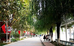 河北女子職業(yè)技術學院 - 我的大學