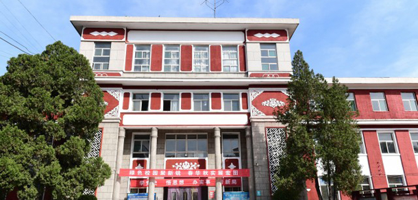 我的大學(xué)-大學(xué)志
