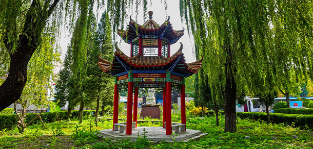 我的大學(xué)-大學(xué)志