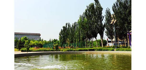 我的大學(xué)-大學(xué)志