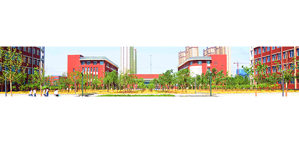 我的大學(xué)-大學(xué)志