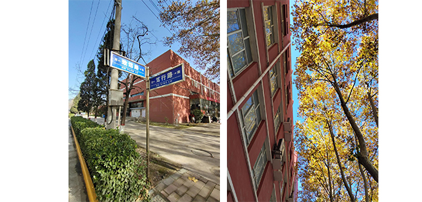 我的大學(xué)-大學(xué)志