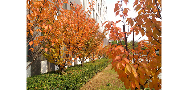 山西建筑職業(yè)技術(shù)學院 - 最美大學