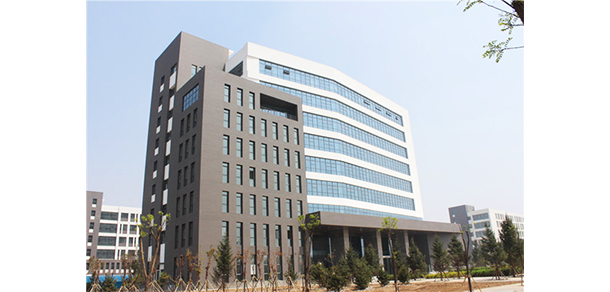 我的大學(xué)-大學(xué)志