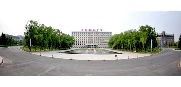 我的大學-大學志