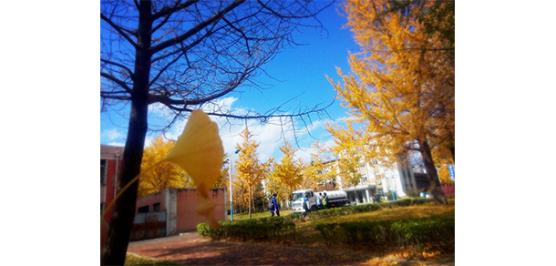 我的大學-大學志
