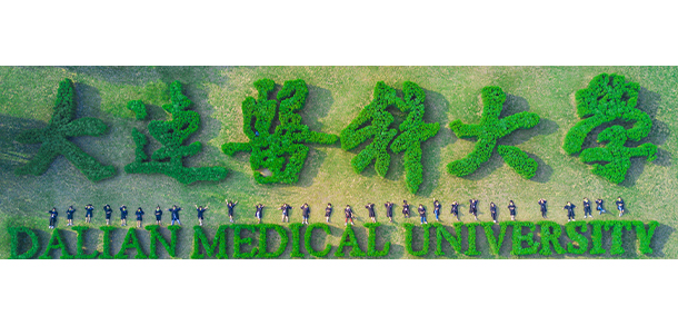 我的大學(xué)-大學(xué)志