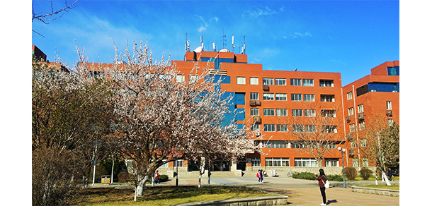 我的大學(xué)-大學(xué)志
