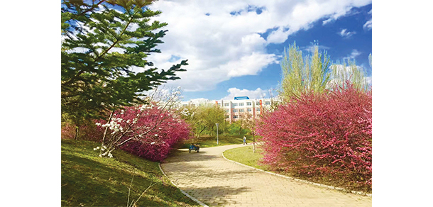 沈陽工程學院 - 最美大學