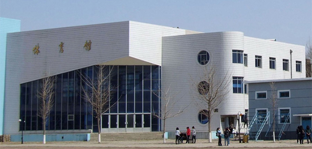 我的大學(xué)-大學(xué)志
