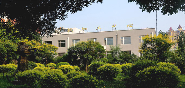 我的大學(xué)-大學(xué)志