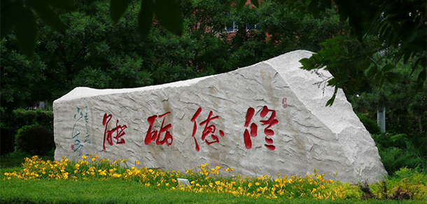 我的大學(xué)-大學(xué)志