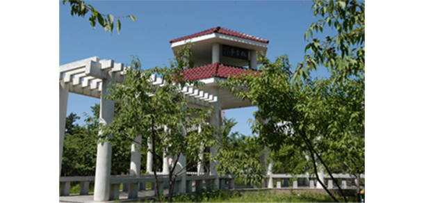 延邊大學 - 最美大學