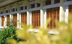 延邊大學 - 我的大學
