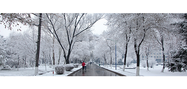 我的大學(xué)-大學(xué)志