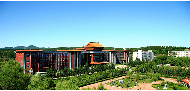 我的大學(xué)-大學(xué)志