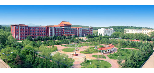 我的大學(xué)-大學(xué)志