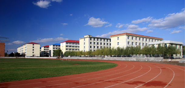 我的大學(xué)-大學(xué)志