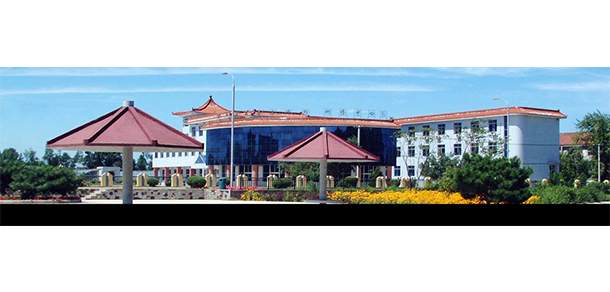 我的大學(xué)-大學(xué)志