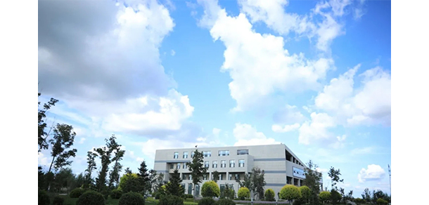 我的大學(xué)-大學(xué)志