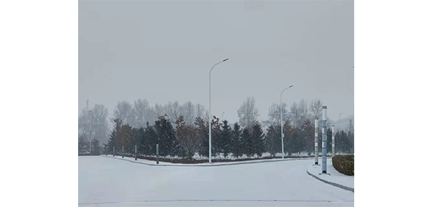 我的大學(xué)-大學(xué)志