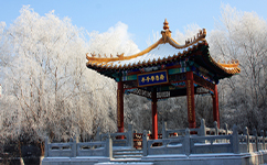 招生公告 · 招生簡(jiǎn)章 · 招生計(jì)劃