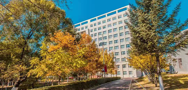 我的大學(xué)-大學(xué)志