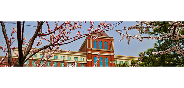我的大學(xué)-大學(xué)志