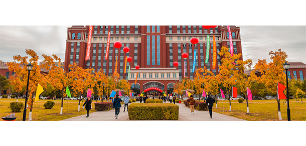 我的大學(xué)-大學(xué)志