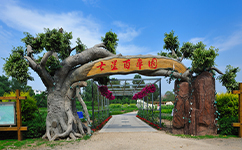 文化標(biāo)識(shí)：校名題寫 / ?；赵O(shè)計(jì)