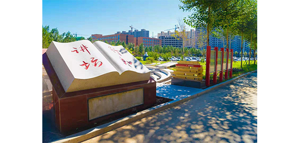 我的大學(xué)-大學(xué)志