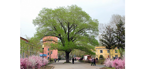 齊齊哈爾大學(xué)