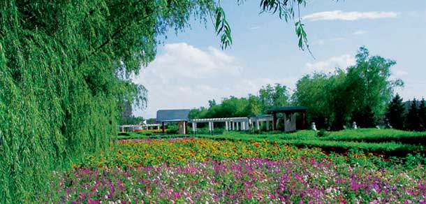 大慶師范學院 - 最美院校