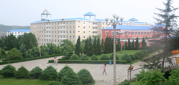 我的大學-大學志