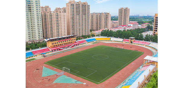 我的大學(xué)-大學(xué)志