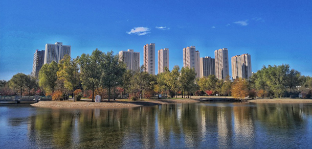 我的大學(xué)-大學(xué)志
