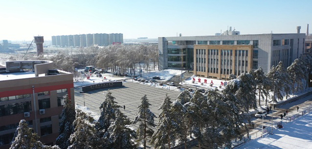大學校志：校名、校標、校訓、?；?、校旗、校歌