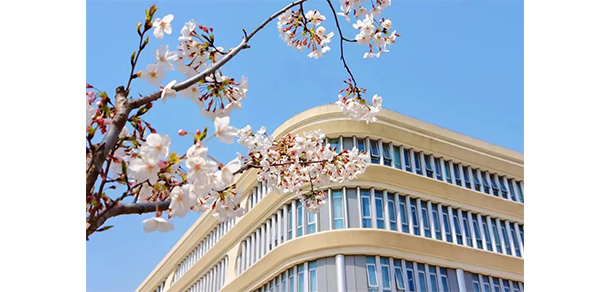 上海對外經(jīng)貿大學 - 最美大學