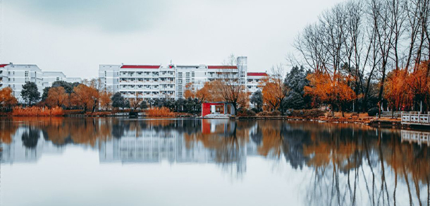 我的大學-大學志