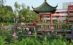 文化標(biāo)識：校名題寫 / ?；赵O(shè)計