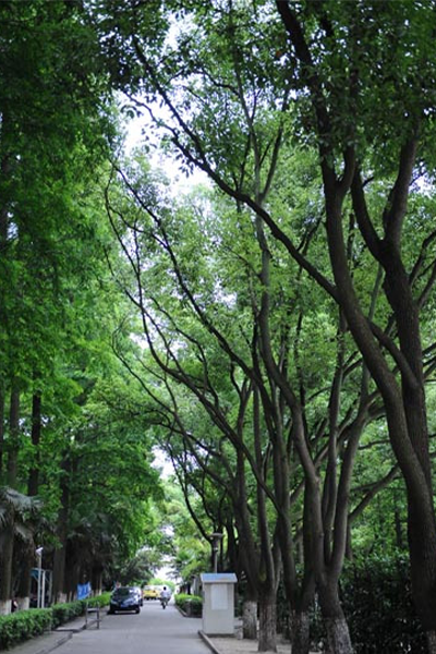 上海科學(xué)技術(shù)職業(yè)學(xué)院