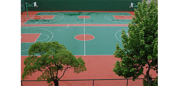 我的大學(xué)-大學(xué)志