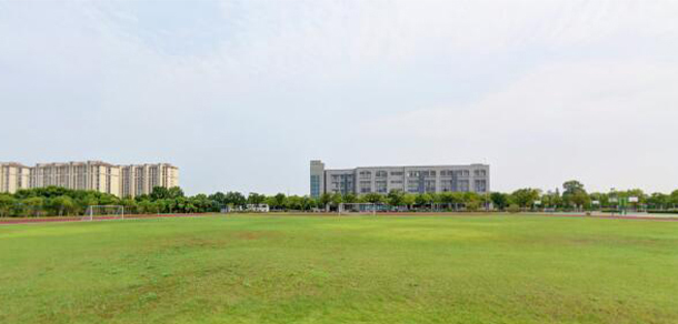 我的大學(xué)-大學(xué)志